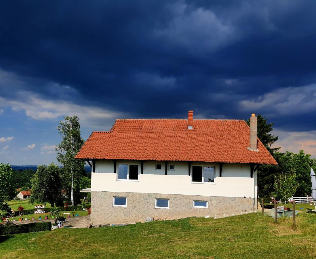 Odmor Na Selu Babajic Apartment Ljig Luaran gambar