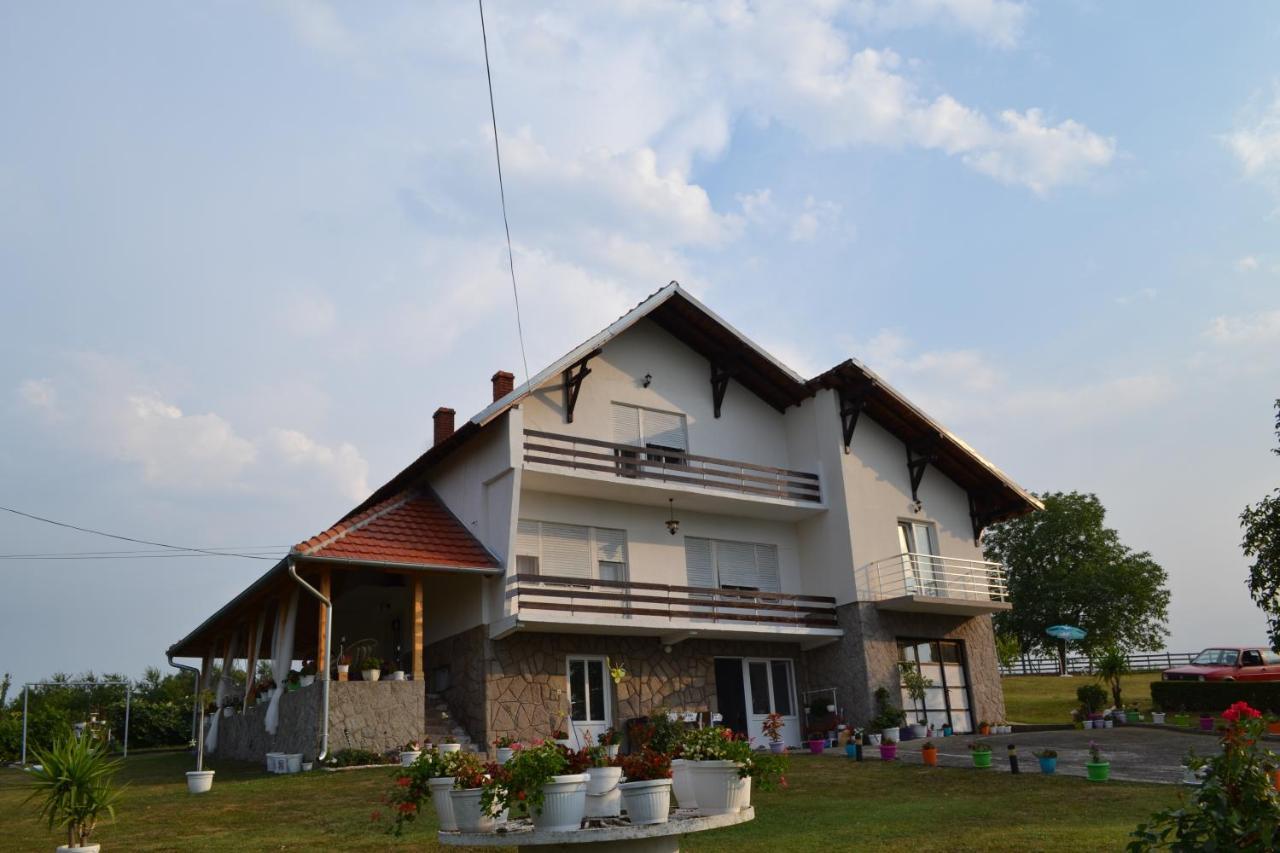 Odmor Na Selu Babajic Apartment Ljig Luaran gambar